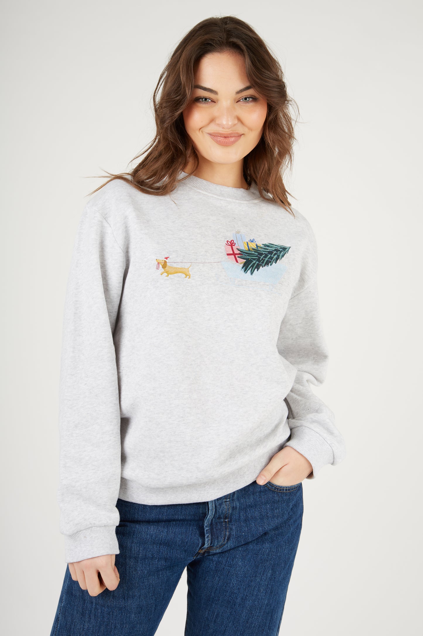 Sample: Festive Dog Sweatshirt - XS and XL