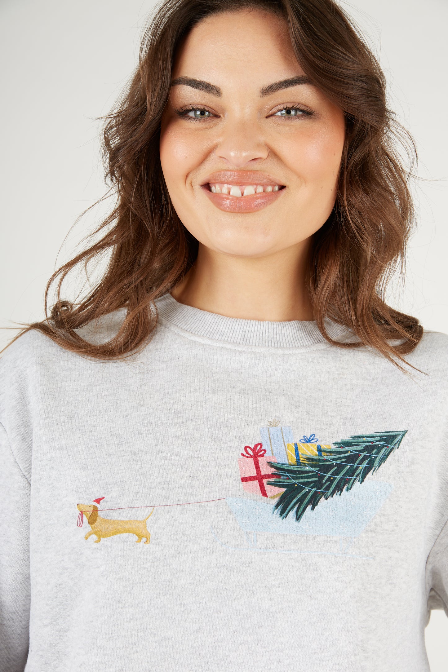 O&F Festive Dog Sweatshirt